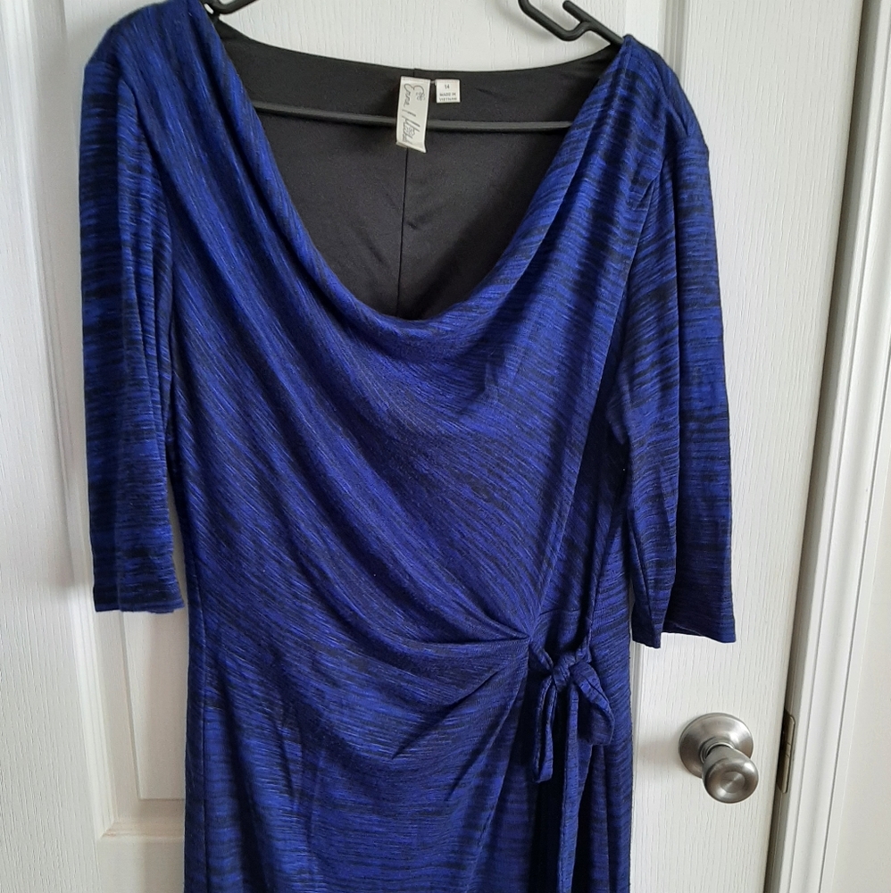 Ladies Bold Blue Dress
